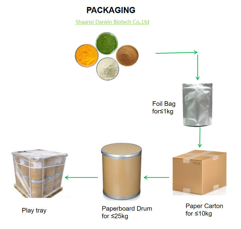 Packaging Setup 1