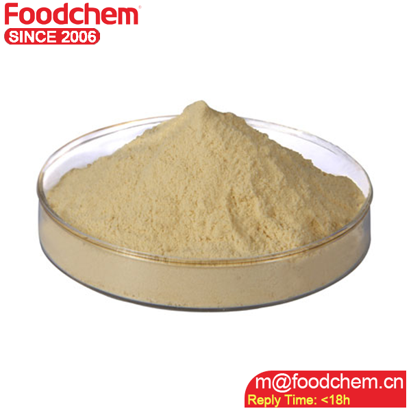 TEXTURED SOY PROTEIN