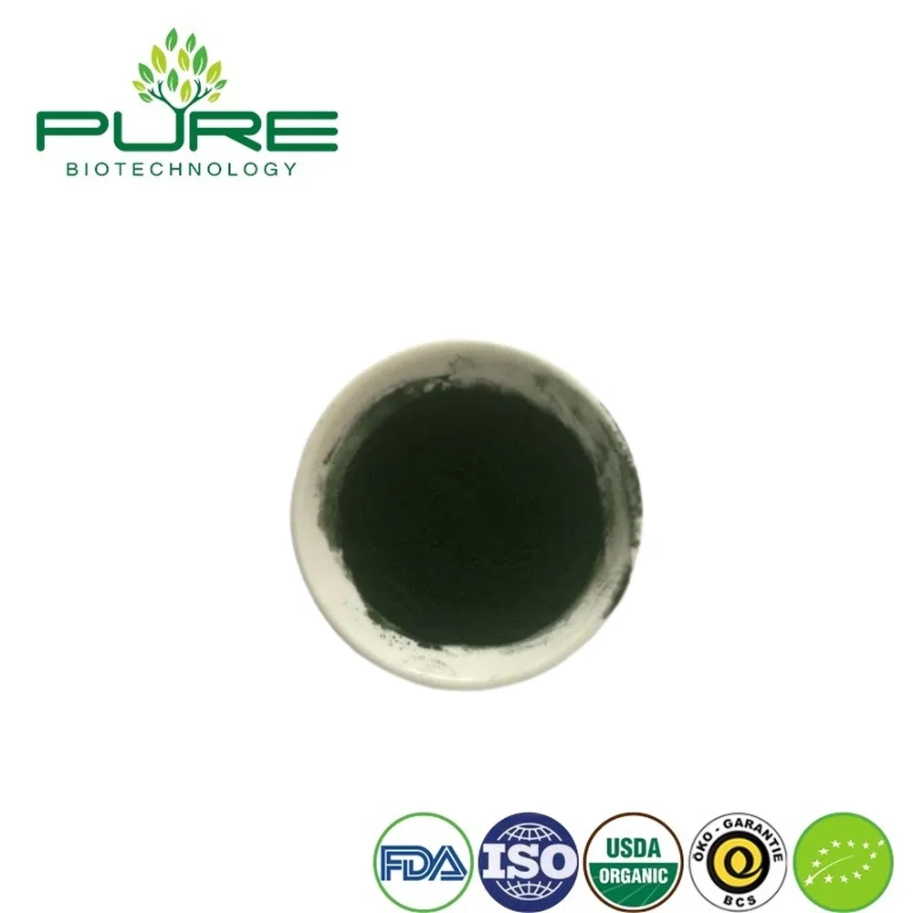 Premium Organic Spirulina Protein Powder for Green Smoothies