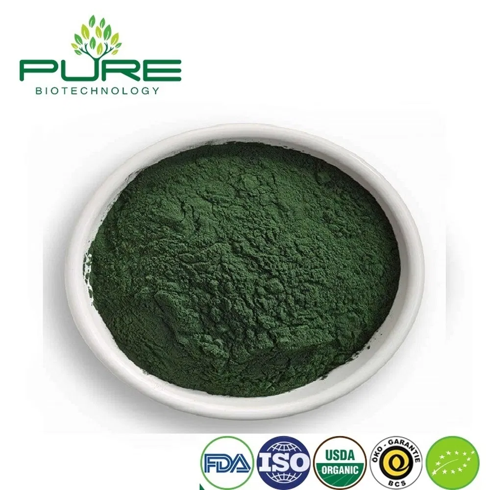 Premium Organic Spirulina Protein Powder for Smoothie Boost