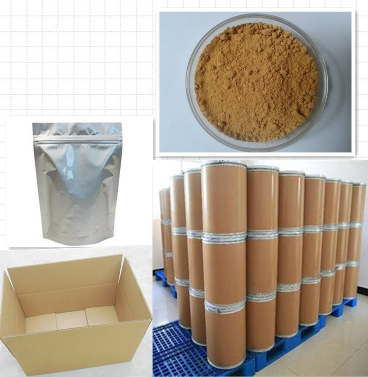 Natural Pumpkin Seed Extract Powder Pumpkin Seed Protein 60%