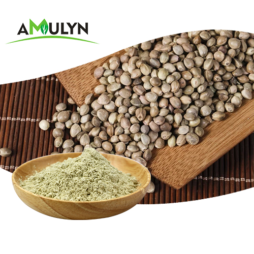 Amulyn Supply Nongmo Natural Organic Hemp Seed Protein Powders for Nutritional Supplement