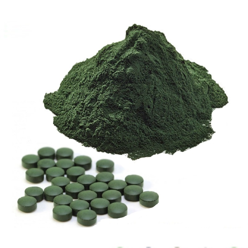 Spirulina Powder Supplier: High Protein Blue Green Algae Superfood