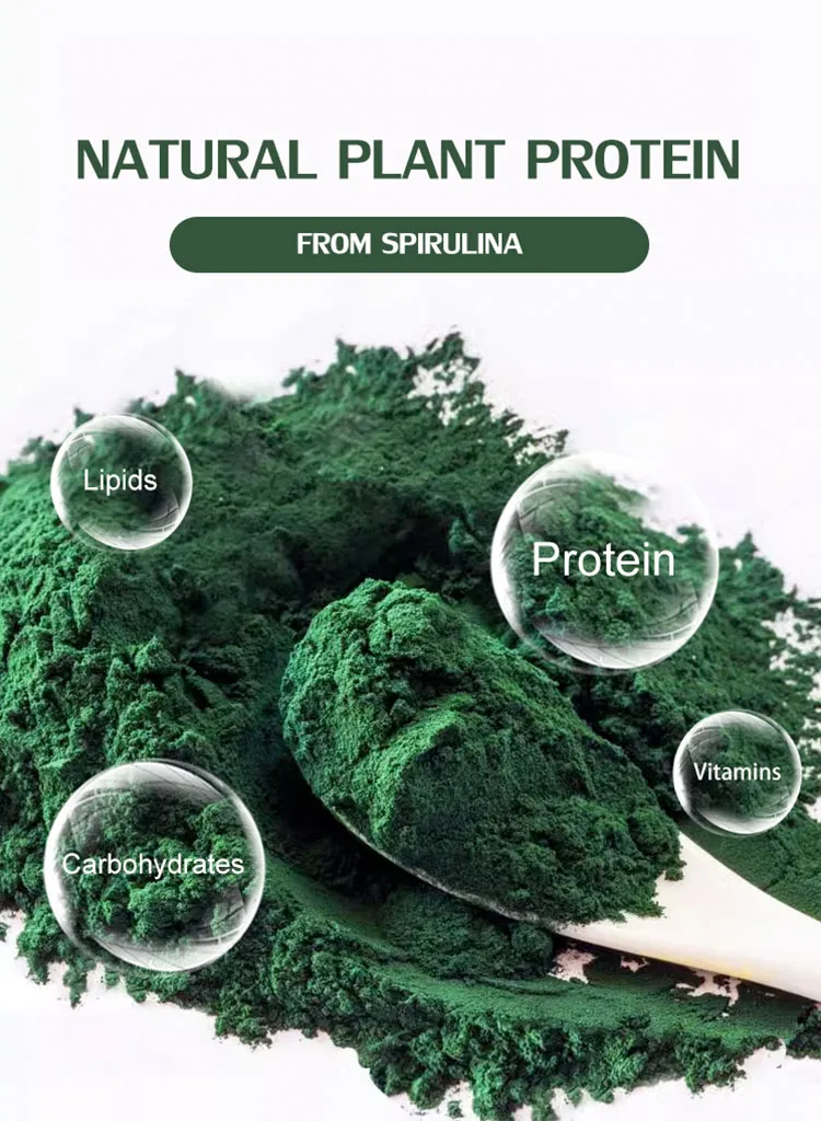 Feed Grade Natural High-Protein Spirulina Algae Powder for Fish, Pet