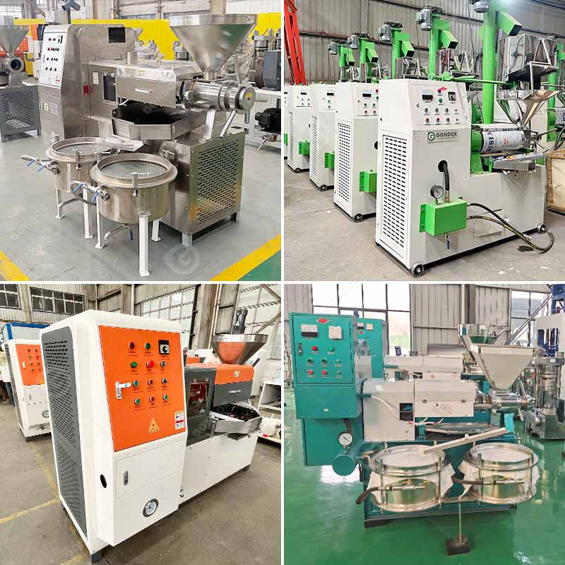 Sunflower Seed Cold Process Cashew Nut Soybean Extruder Make Avocado Cooking Extraction Mustard Expeller Canola Oil Machine