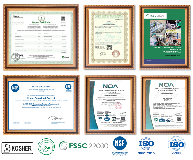 China Protein Manufacturer Supply Hot Sales 100%Pure Natural Free Sample 90%Protein Green Faba Bean Powder
