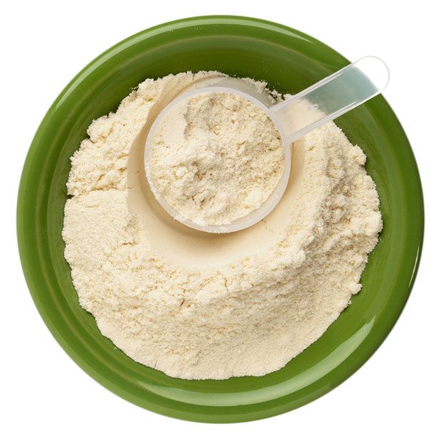 Rice Protein Powder Detail