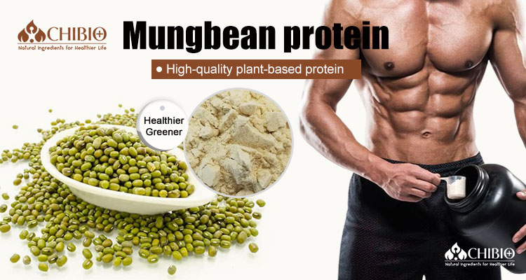 Organic Mungbean Protein Powder