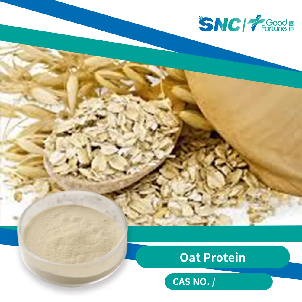 Food Grade Pure Natural Extraction Health Oat Protein for Vegans and Vegetarians