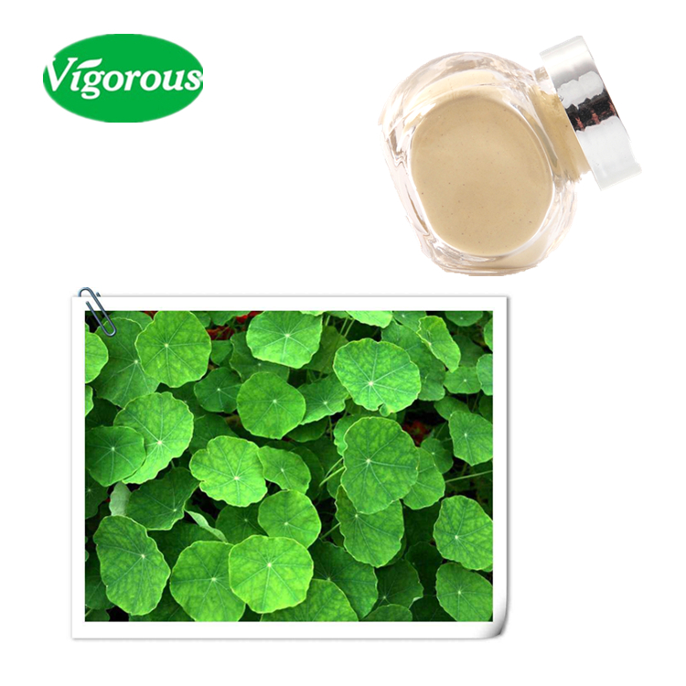 Gotu Kola Extract