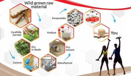 Lowering Cholesterol, Anti-Aging, and Regulating Metabolism Sunflower Oil Powder