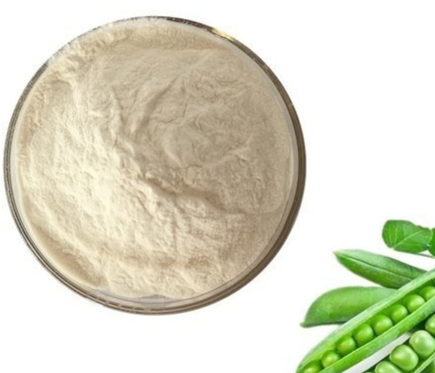 ISO Factory Supply Fava Bean Protein Isolate Powder