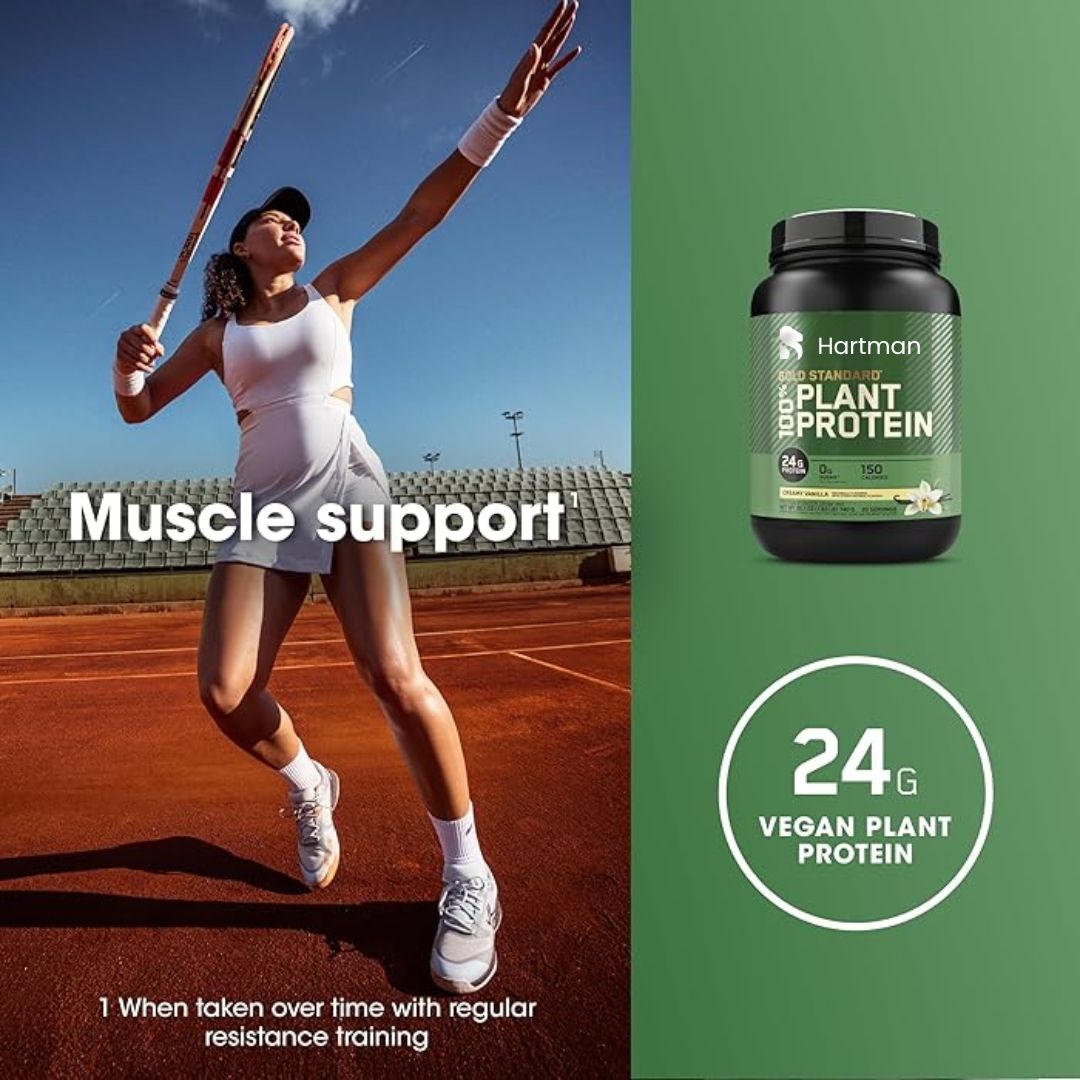 Plant-Based Pea Rice Hemp Protein Powder Dairy-Free Vegan Blend Rich in Amino Acids and Fiber Clean Formula