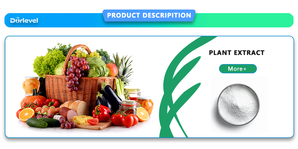 Mung Bean Protein banner