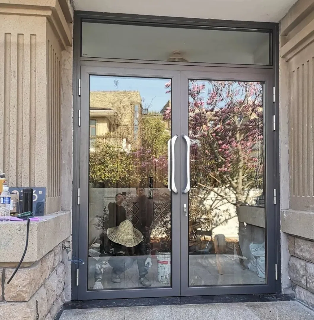 Aluminium Door Design 2