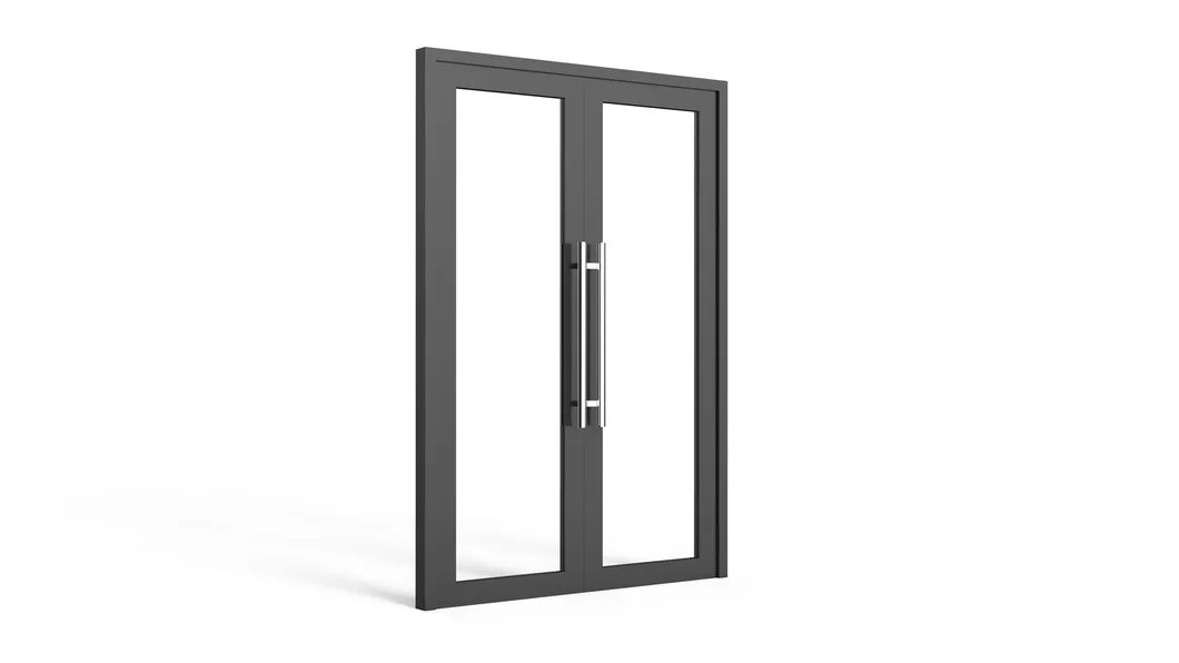 Double Tempered Glass Swing Door 1