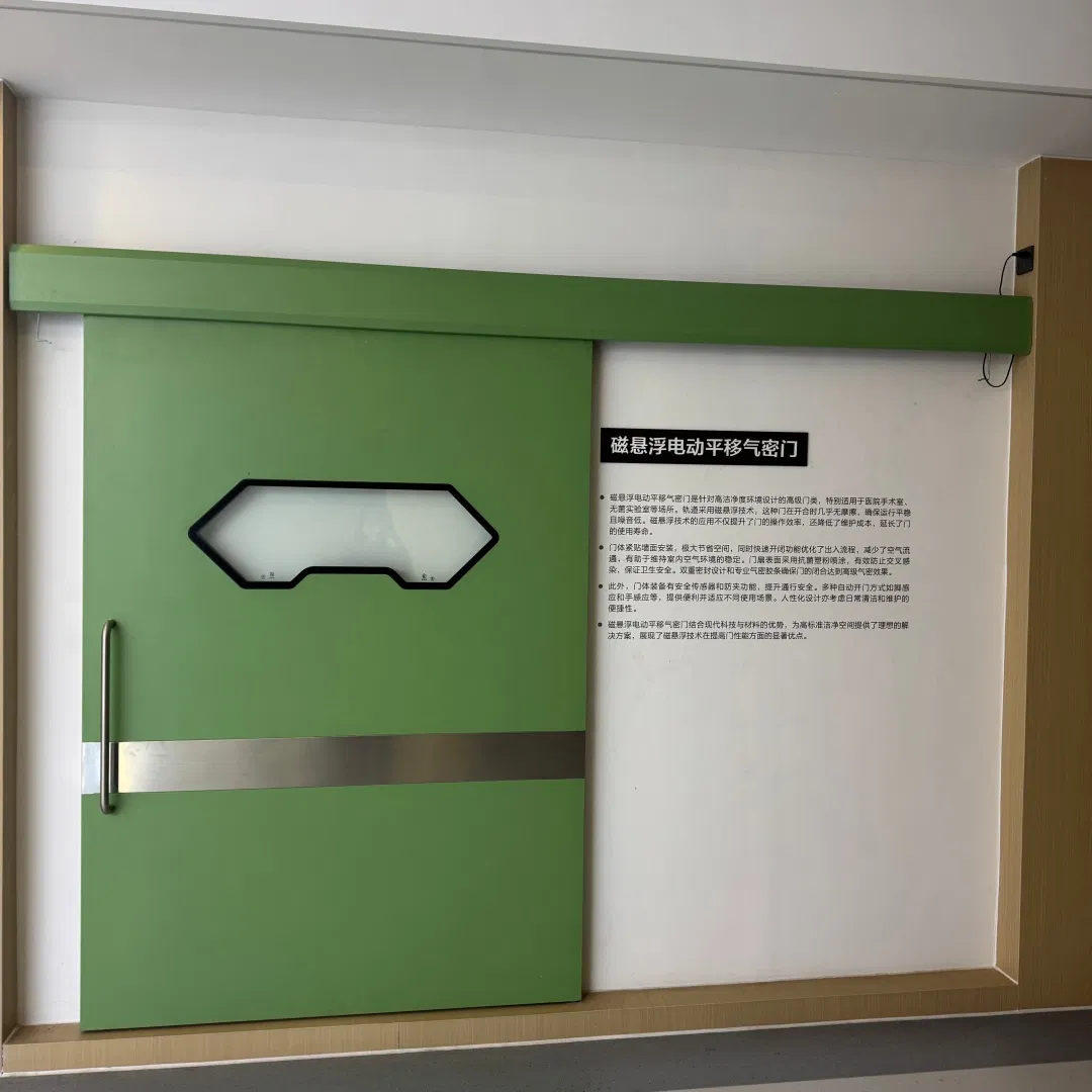 Modern Design Clean Room Door