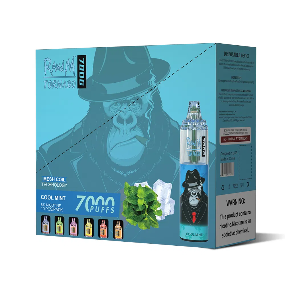 2022 Newest Disposable Premium Quality Electronic Cigarette R and M Disposable Ecig Vape Pen