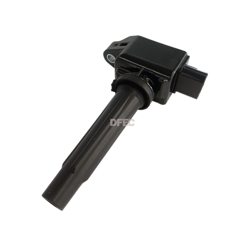 OEM Auto Spare Parts Ignition Coil PE2018100A for Sale