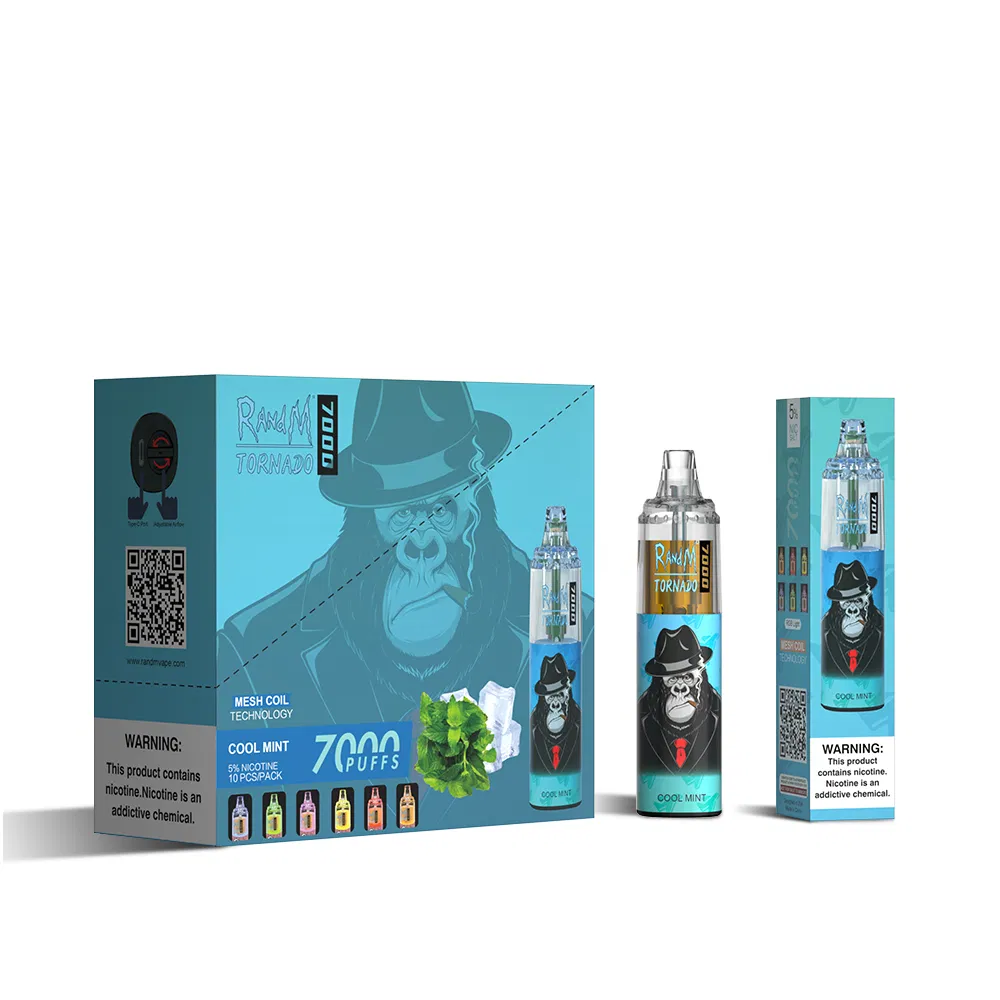 2022 Newest Disposable Premium Quality Electronic Cigarette R and M Disposable Ecig Vape Pen