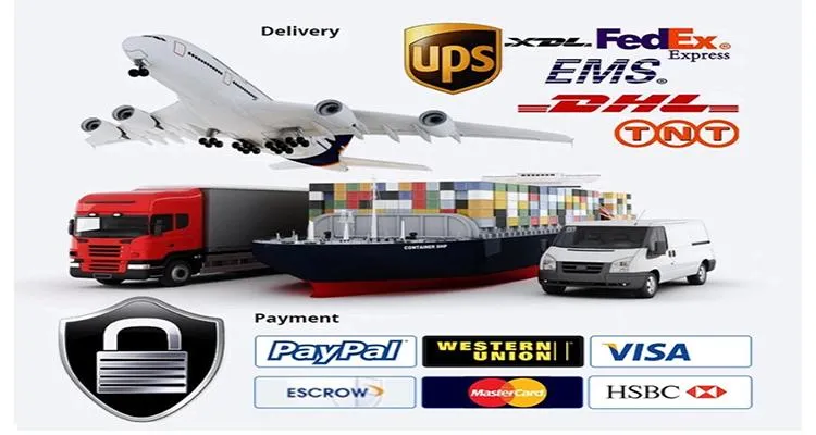 Packaging and Logistics Info Graphic
