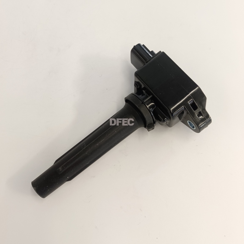 OEM Auto Spare Parts Ignition Coil PE2018100A for Sale