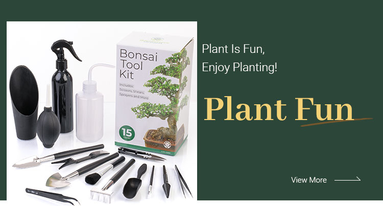 Indoor Herb Garden Starter Kit