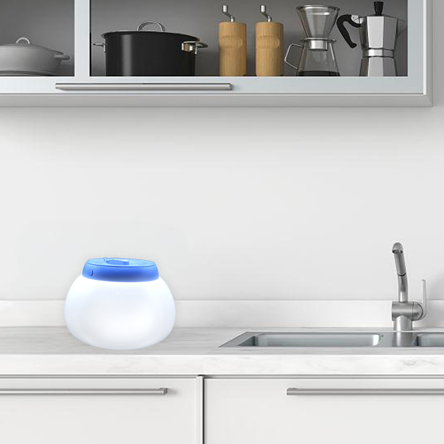 Warm steam vaporiser system