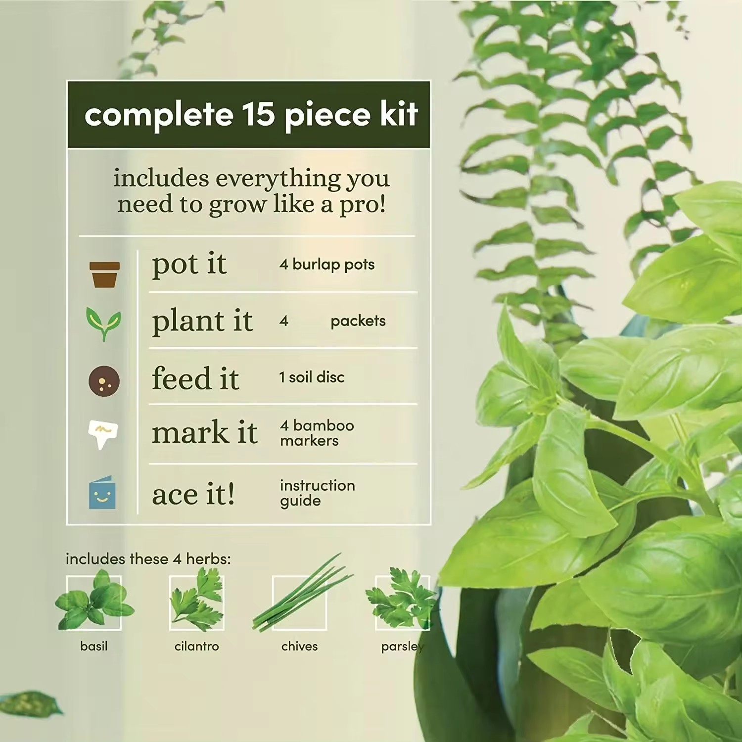 Chinese Factory Priced Indoor Herb Garden Starter Kit Cheap Dry Herb Vaporizers Flower Pot for Home Nursery Planting