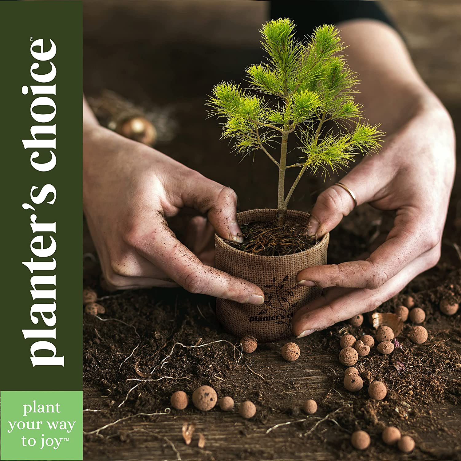 Herb garden starter kit detail 7