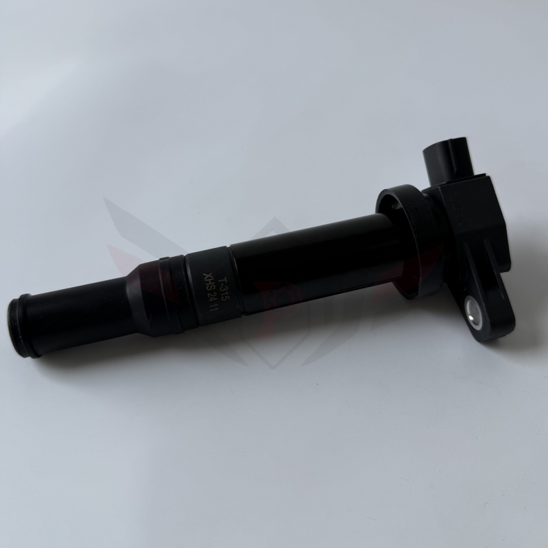 Hot Sell Auto Spare Parts Automobile Ignition Coil 27300-3E400 273003E400 G6EA2.7L