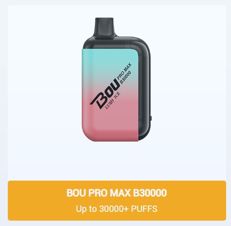 30000 40000 50000 Puffs Coil E-Cigarette Electronic Cigarette China Wholesale OEM ODM Disposable Vape Pen