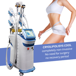 Cryolipolysis Cryo Machine Cryo Sculpting Machine Freeze Slimming Cryotherapy 360 Weight Loss Skin Tightening Best Supplier