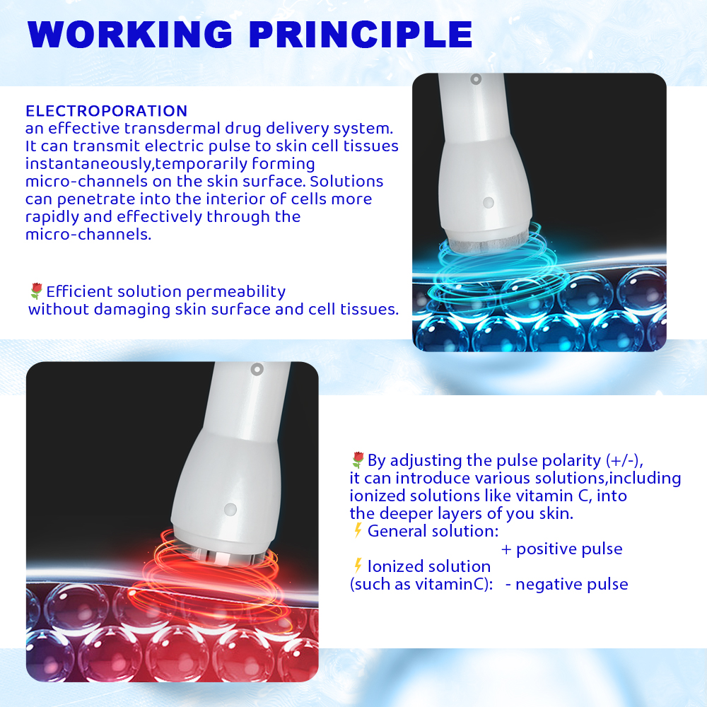 Working Principle