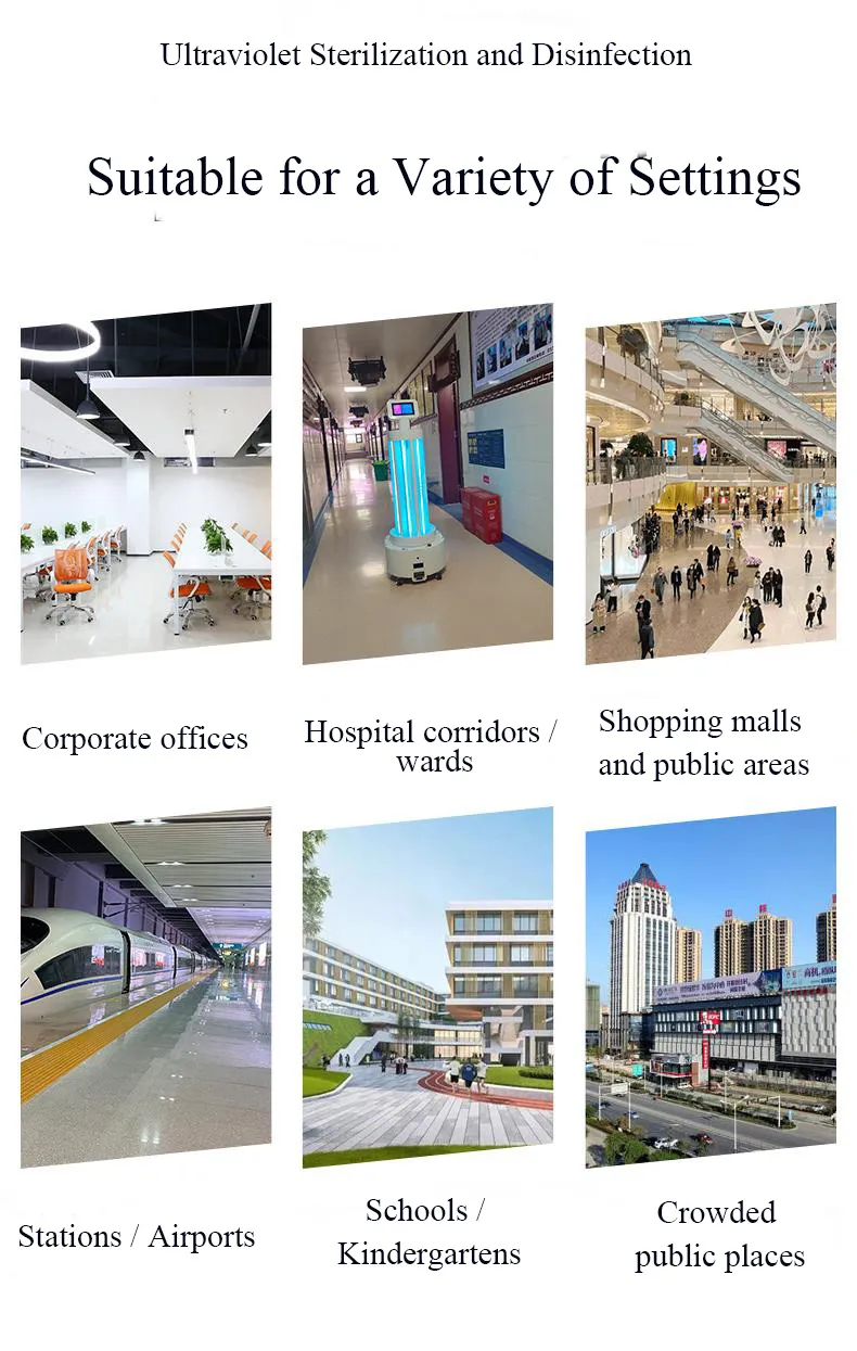 Detailed Application View