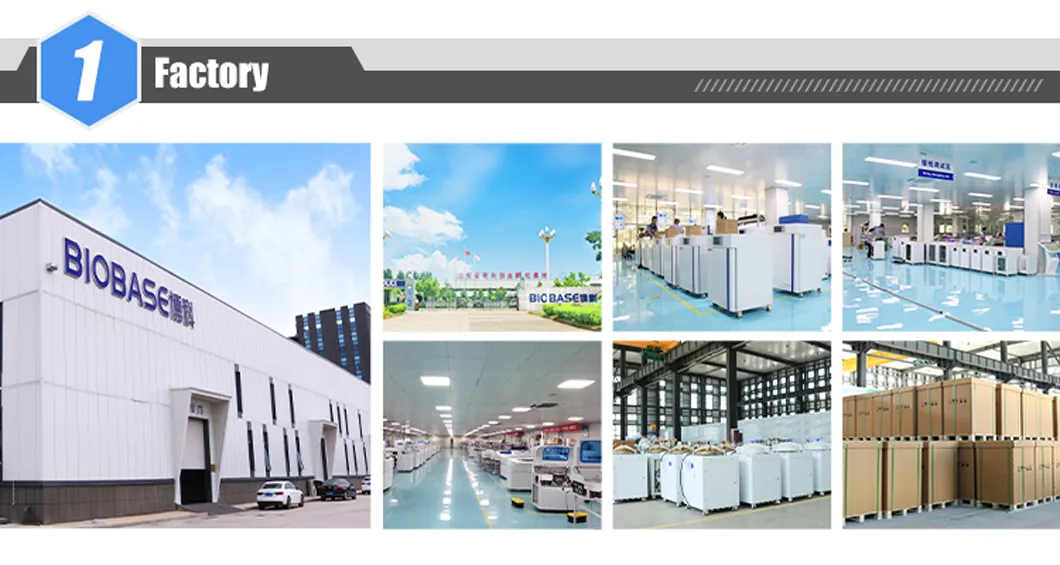 Internal Factory View