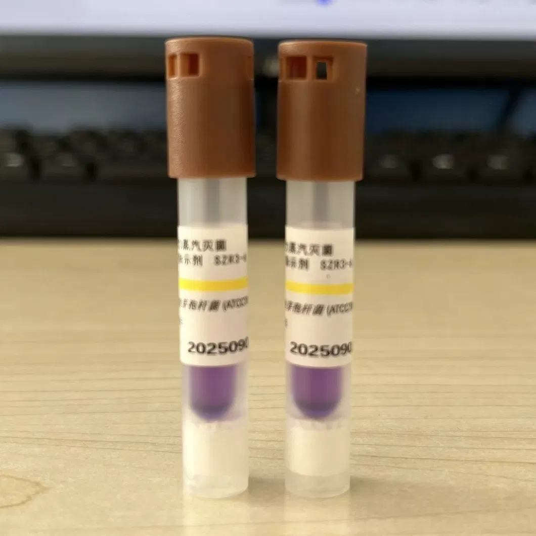 Interpretation of Results