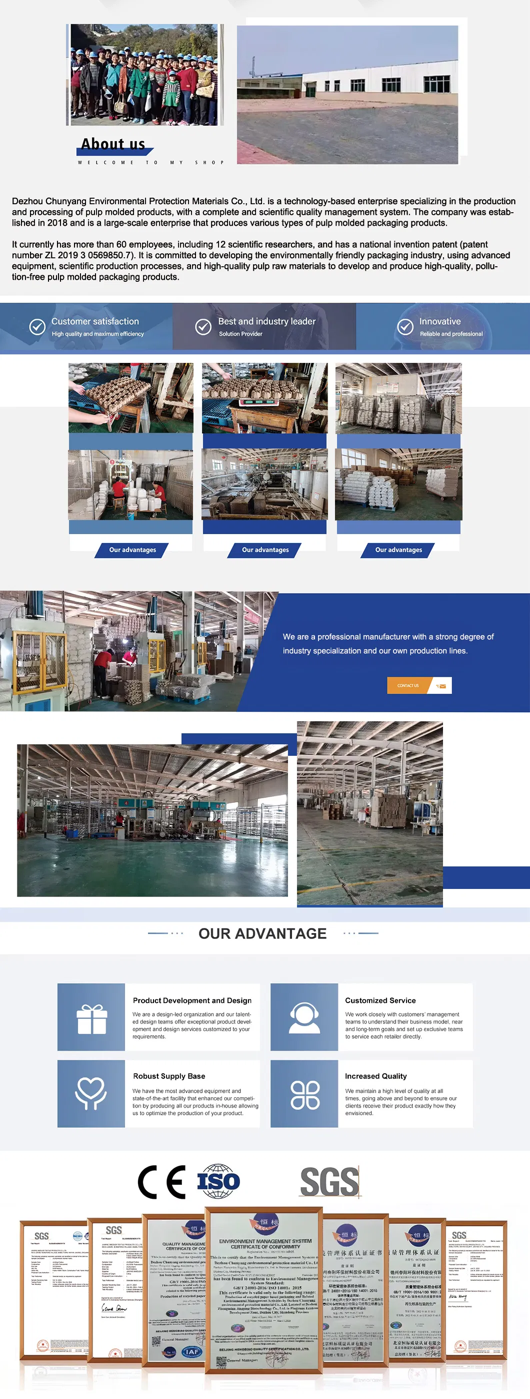 Company Capabilities