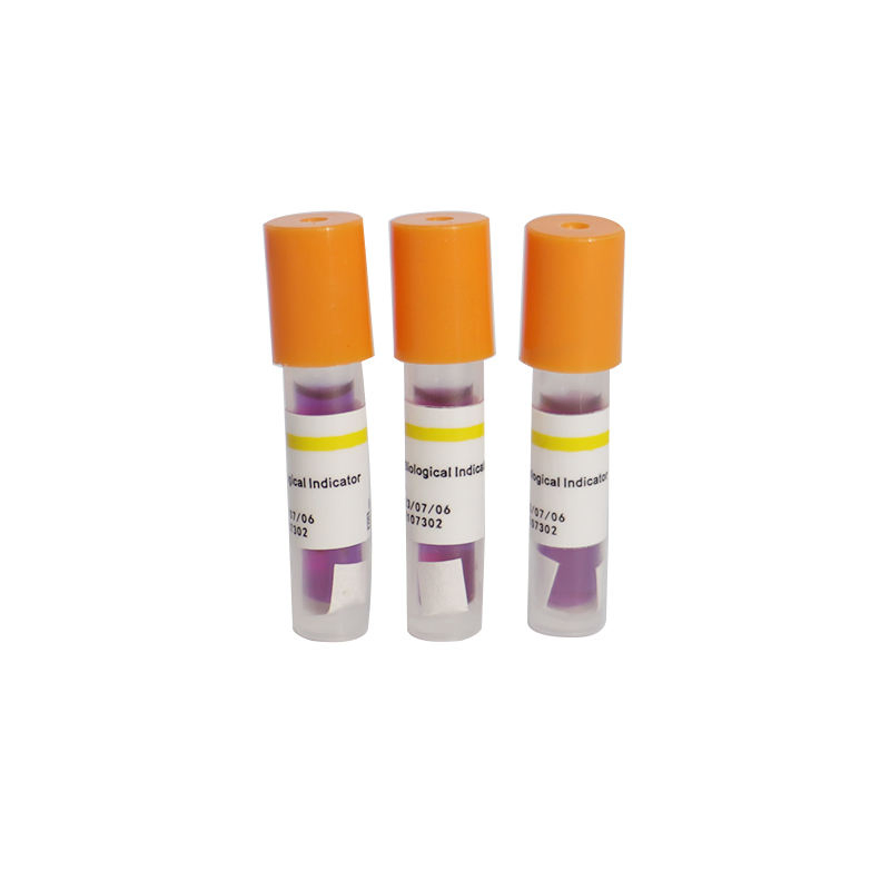 24h Steam Sterilization Disposable Biological Indicator Autoclave Biological Reader