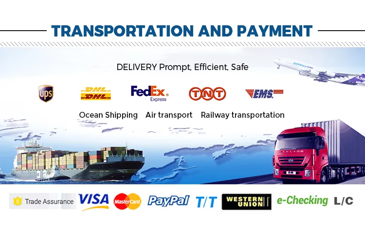 Transportation and Payment