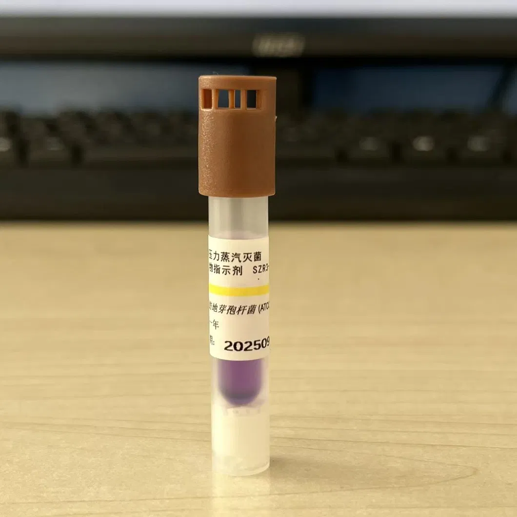 Sterilization Process