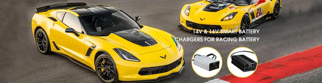 Pfc Smart Battery Charger