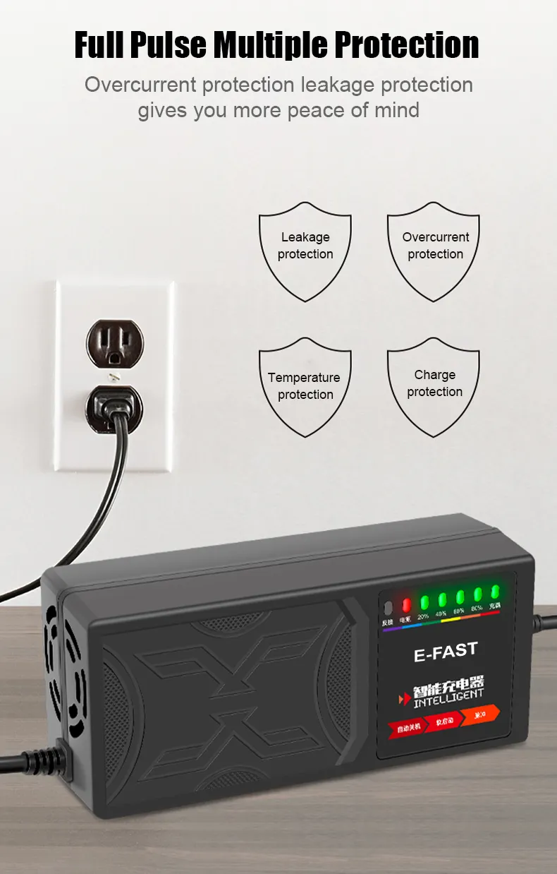 Smart Battery Charger View 3