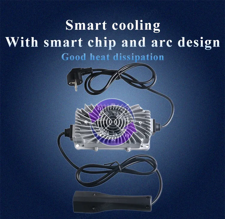 Pulse Repair Charger