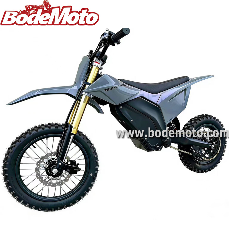 Fashion Cool 3000W E-Bike with Lithium Battery High Speed Sports E-Motorcycle