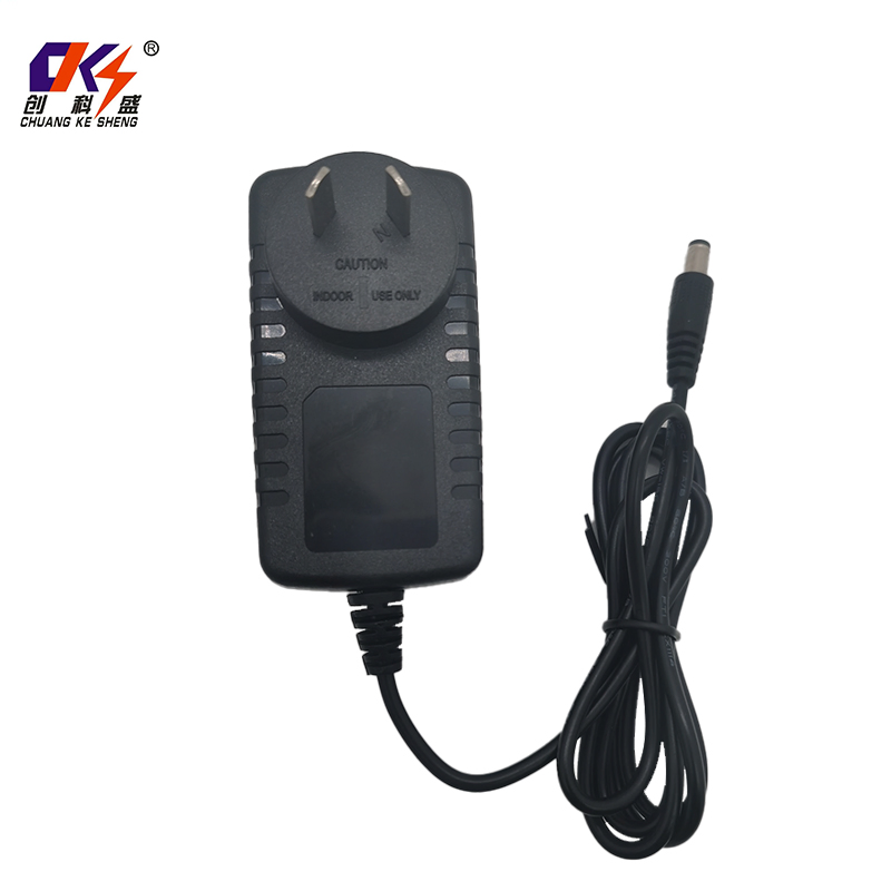 Portable Plug Ar Argentina Plug 25.2V 0.5A 12.6W Worldwide Travel Adapter 500mA Wall Mount Switching Charger 25V Power Adapter