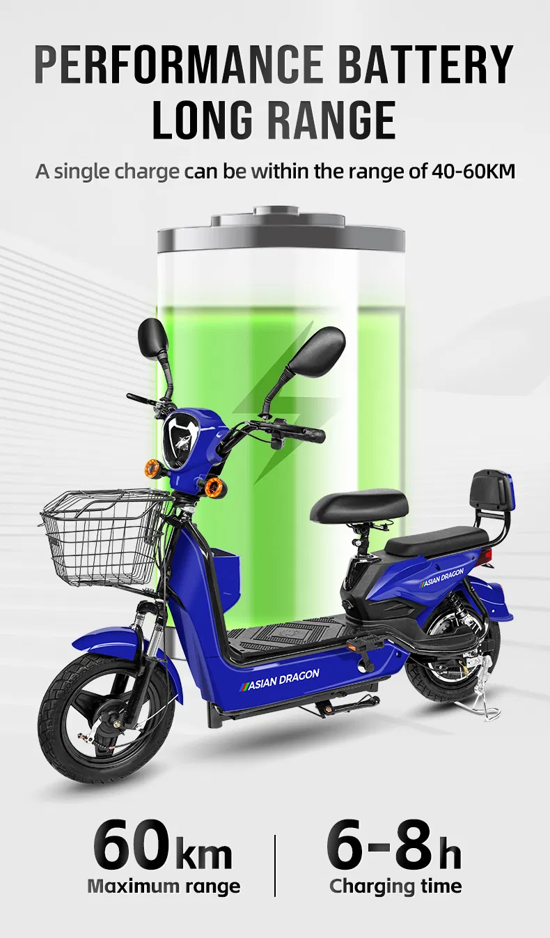 Electric Bike Details