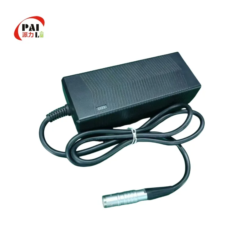 Battery Charger Detail 1