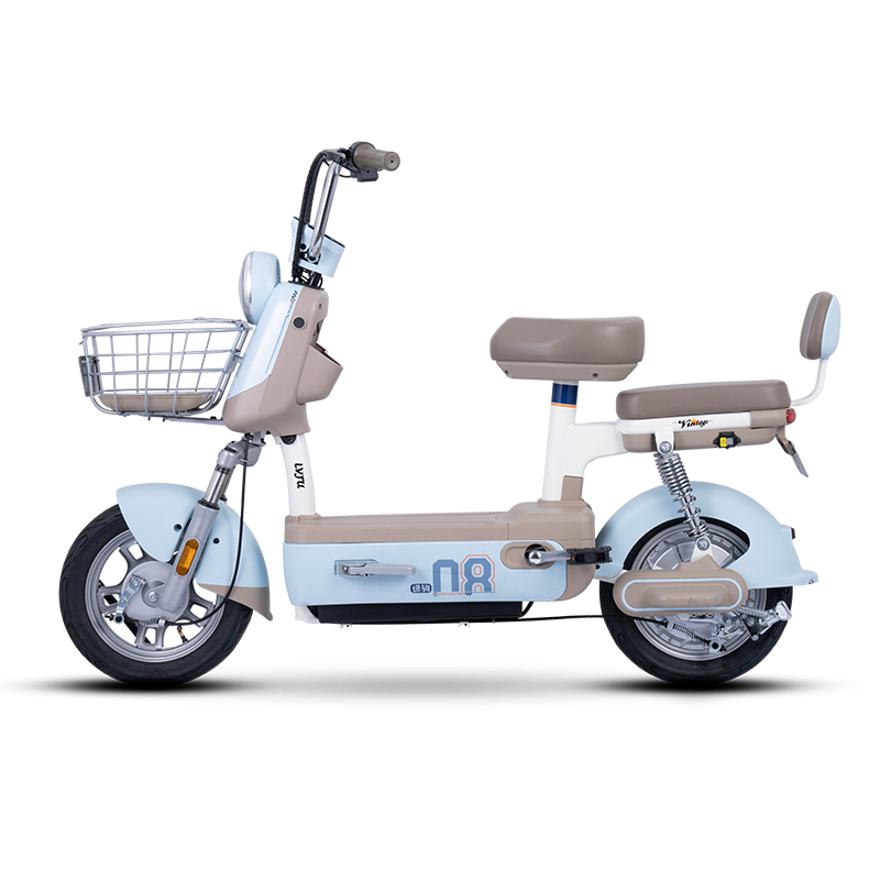 Mini Portable Bike Lelyn Low Price 48/60V Lead Acid Battery Electric Bike