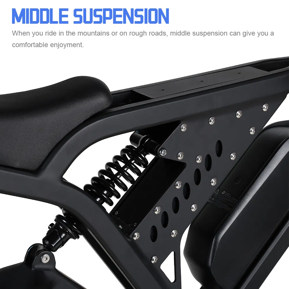 Factory Outlet 20inch Electric Fat Tyre Bicycle Big Power 52V 750W/1000W Electric Mountain Bike Electric Bike